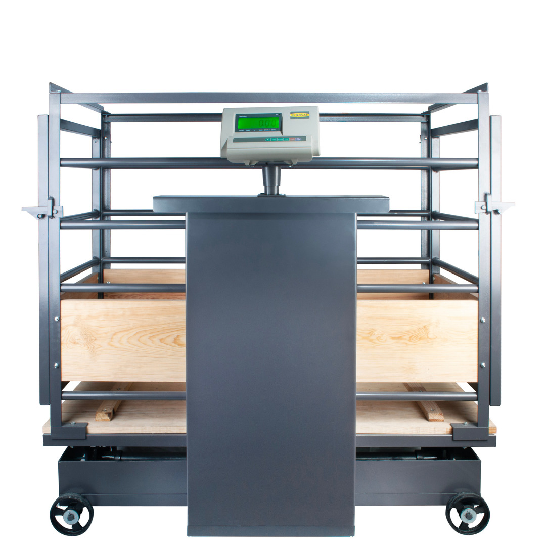 PORCINAE LEC-500 Báscula porcina electromecánica de 500 gr.